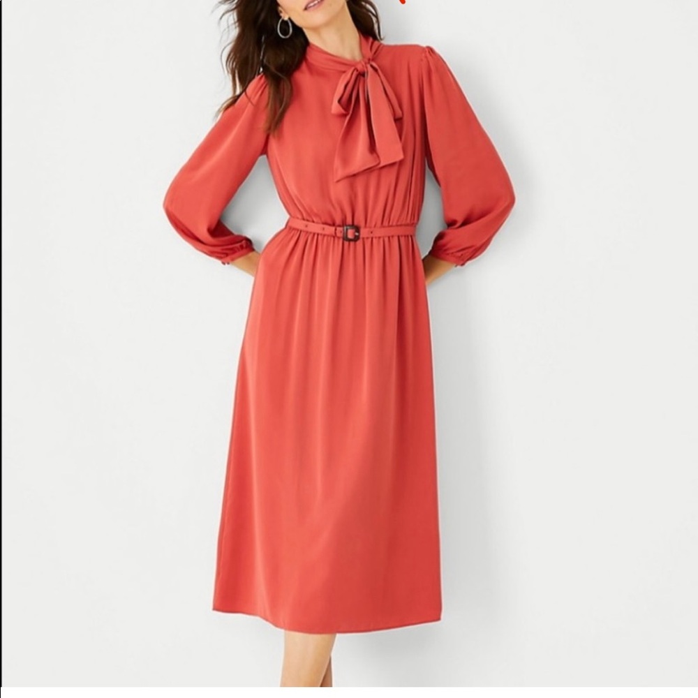 Ann Taylor Tie Neck dress